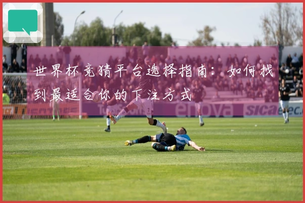 世界杯竞猜平台选择指南：如何找到最适合你的下注方式