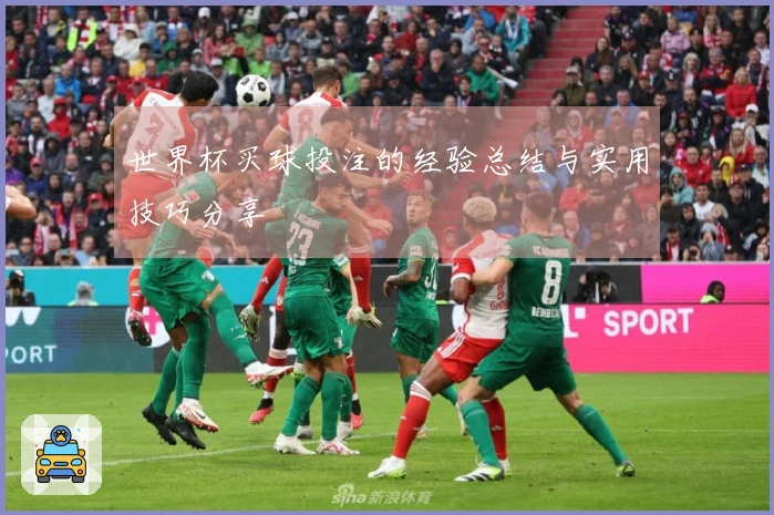 世界杯买球投注的经验总结与实用技巧分享