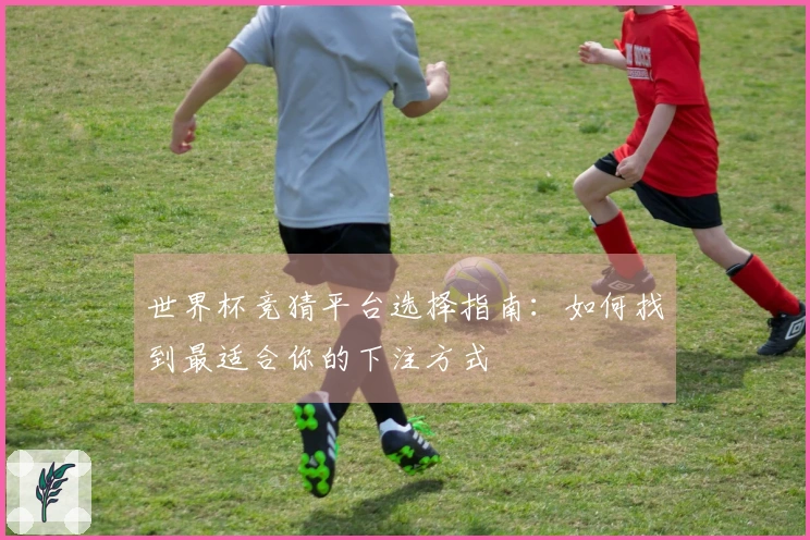 世界杯竞猜平台选择指南：如何找到最适合你的下注方式