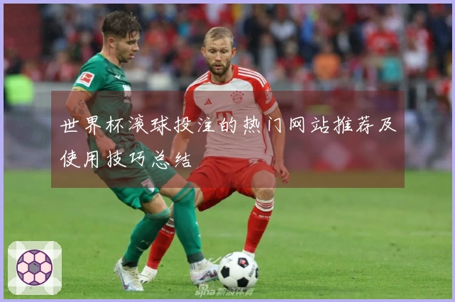 世界杯滚球投注的热门网站推荐及使用技巧总结