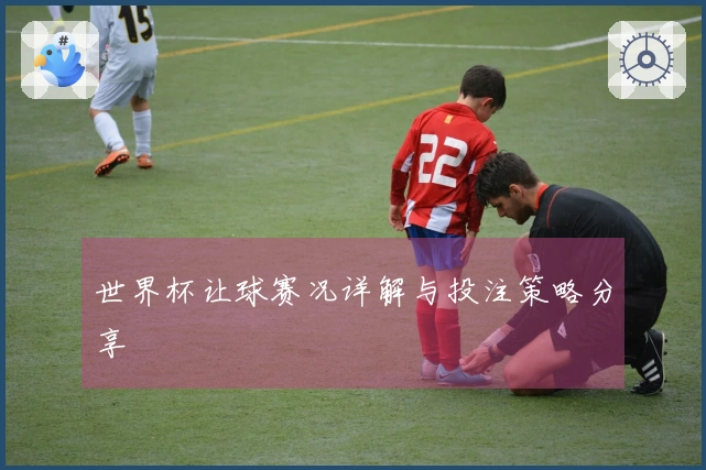 世界杯让球赛况详解与投注策略分享