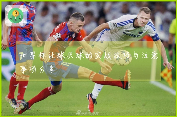 世界杯让球买球的实战技巧与注意事项分享