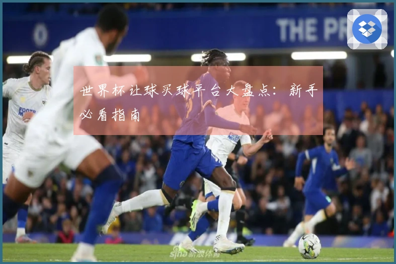 世界杯让球买球平台大盘点：新手必看指南
